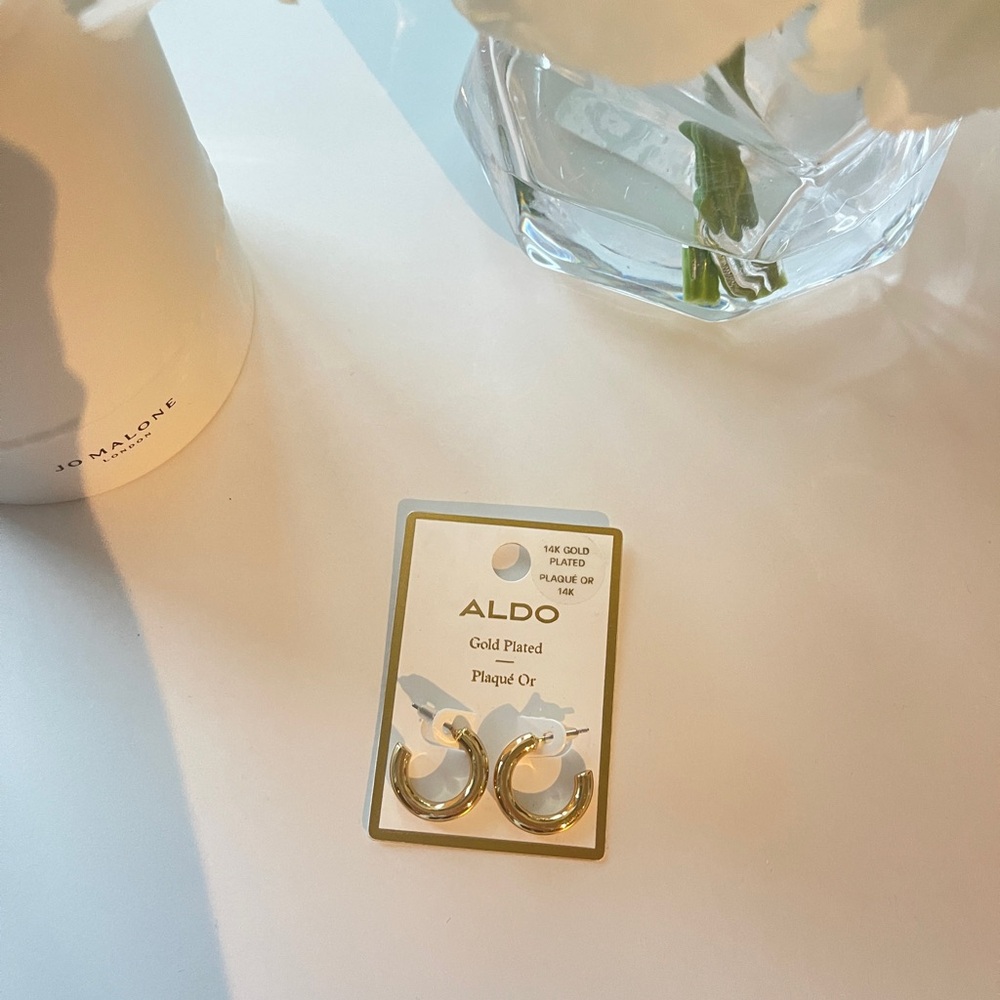 Aldo Gold Plated Hoop Earrings